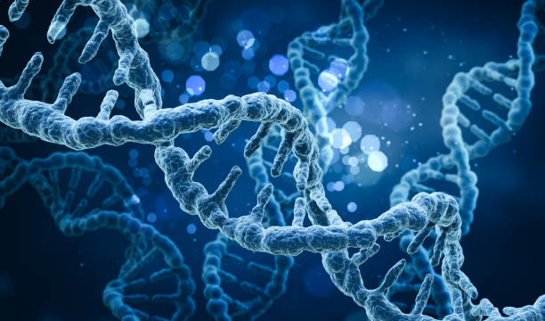 istock human DNA strand, blue DNA structure background 3d illustration. 2054791681