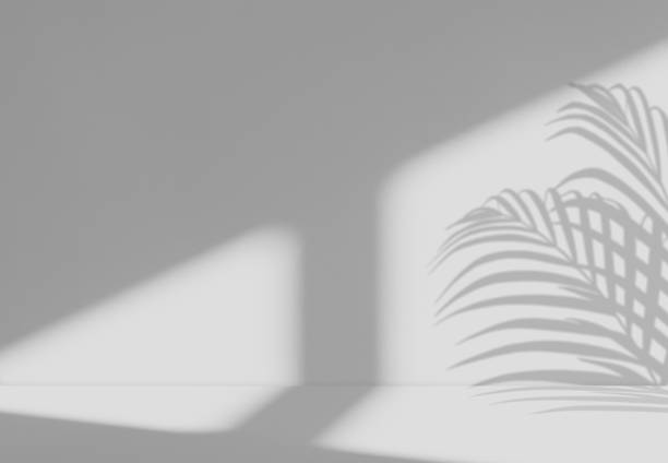 istock Background Grey Wall Studio with Light,Shadow Palm leaves on Display Podium,Empty White Room Concrete Surface Texture with Shelf Bar,Backdrop MockUp for Sping,Summer Cosmetic Product 2054805809