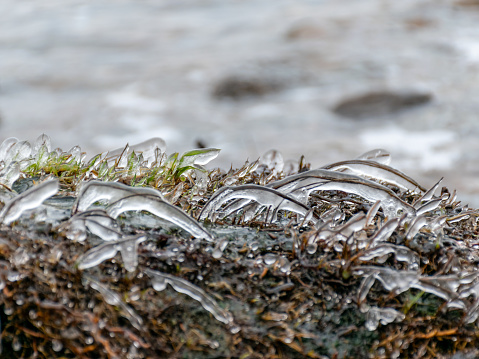 abstract frozen texture of frozen seaweed ice, blurred background