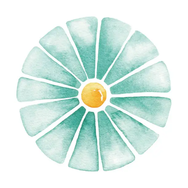 Vector illustration of Watercolor Turquoise Daisy