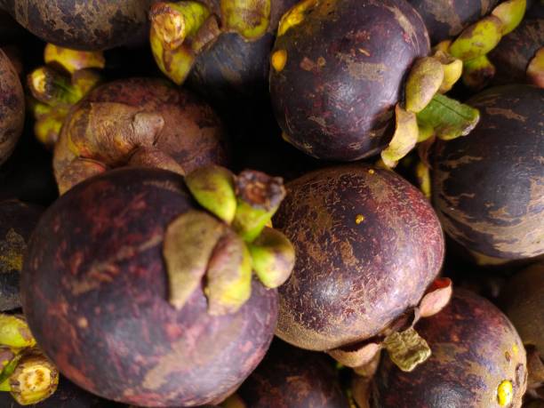istock Tropical colorful fresh mangosteen fruit 2054848490