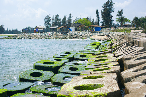 The breakwater covered with green moss stretches out to the sea in Tam Giang Lagoon, Vietnam