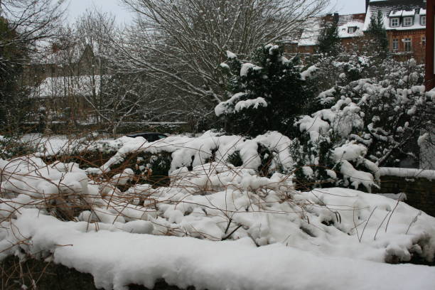 istock white snow in the city 2054853720