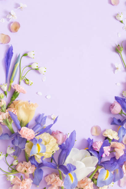 istock beautiful spring flowers on paper background 2054861050