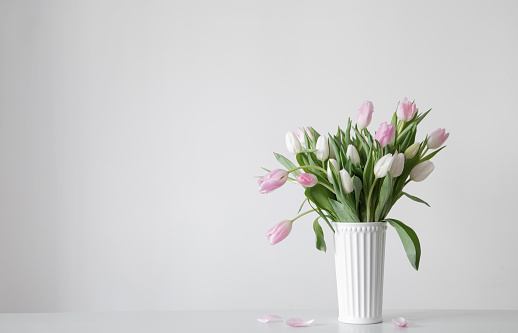 white and pink   tulips in white vase on background wall