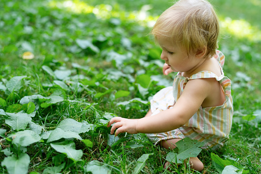 Cute child exploring nature in springtime in a park