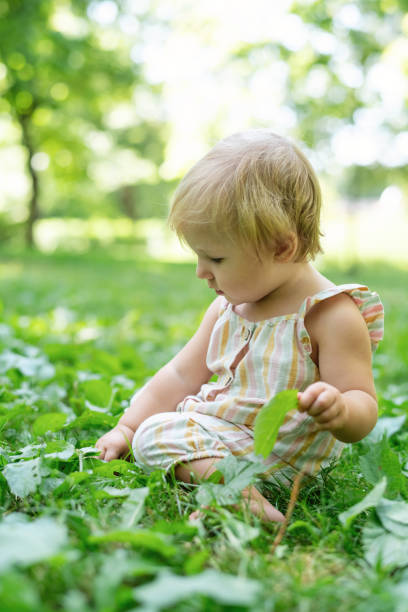 istock Cute child exploring nature in springtime or summer in a park 2054885867