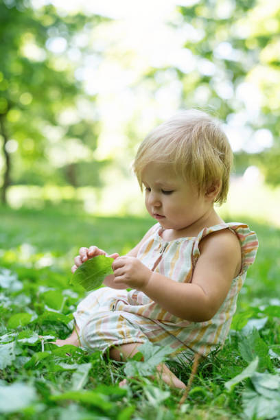 istock Cute child exploring nature in springtime or summer in a park 2054885872