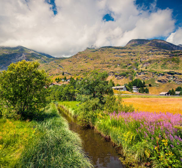 Sunny summer morning in Maloja village. Colorful outdoor scene in the Swiss Alps, Maloja pass, Upper Engadine in canton of the Grisons, Switzerland, Europe. Artistic style post processed photo.