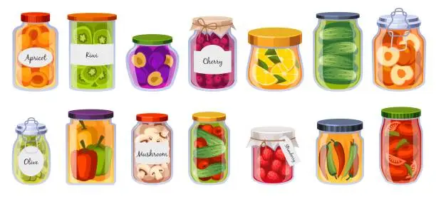 Vector illustration of Jars preserved vegetables. Pickled fruits, berries and mushrooms, organic fermented food in glass containers, homemade cucumber conserves, cartoon flat style isolated tidy vector set