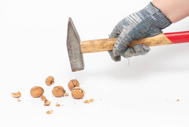 Walnuts, whole and peeled, on a pink wooden background next to a hummer.