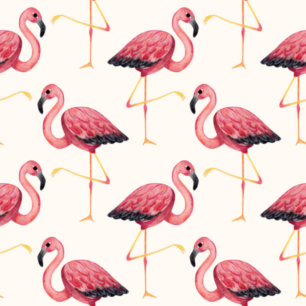 istock Pink flamingos. Watercolor illustration. seamless pattern on white background 2054932275
