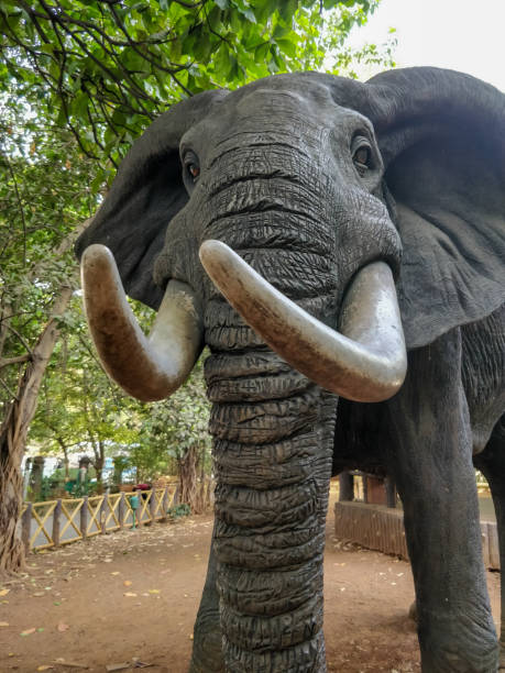 istock Majestic African elephant in a natural setting with lush greenery 2054975304