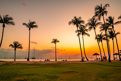 Silhouette Palm Trees Sway Gently in the Breeze against the Backdrop of An Orange-Streaked Sky as the Sun Dips Below the Horizon,Casting a Warm Glow Over the Tranquil Shores of the Beach,a Serene and Captivating Scene that Heralds the Onset of a Picturesque Sunset.