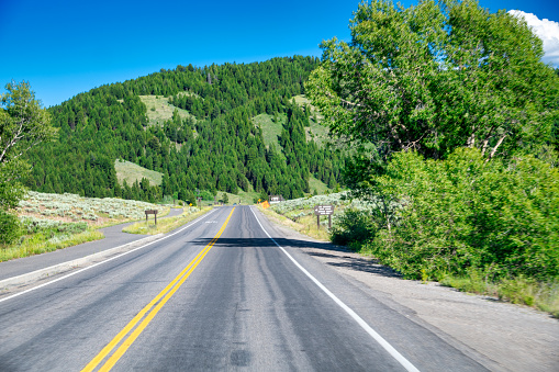 Road to Grand Teton National park in summer season.