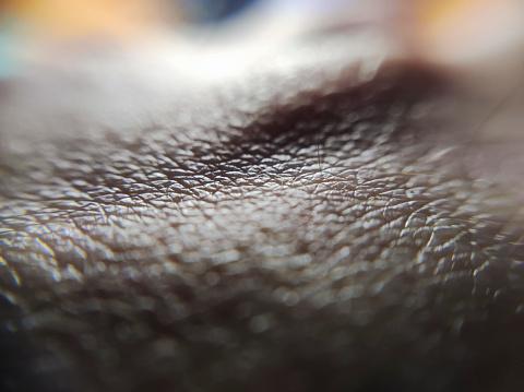 Macro shot of healthy human skin, showcasing its detailed texture.