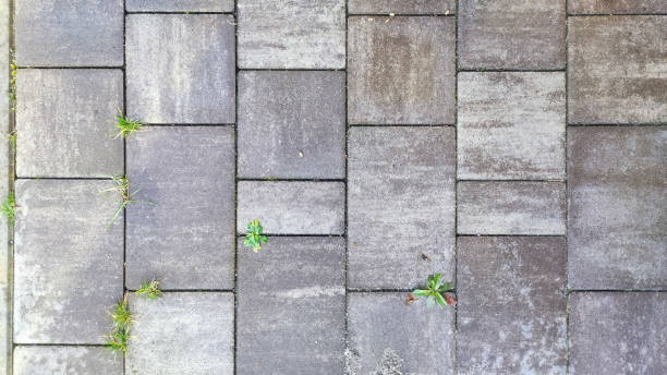 istock Neutral-toned stone paving surface of a road with cemented bricks. 2055022460