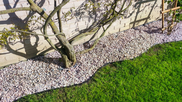istock Vibrant green lawn lined with decorative garden pebbles. 2055022563