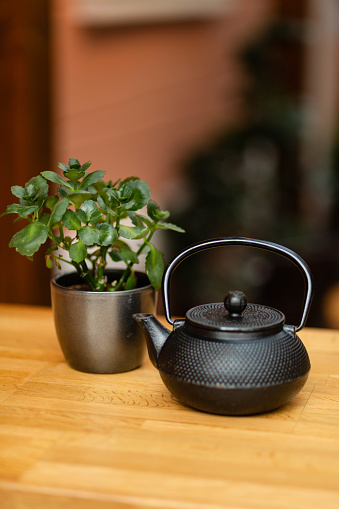 Teapot of green tea and green plant