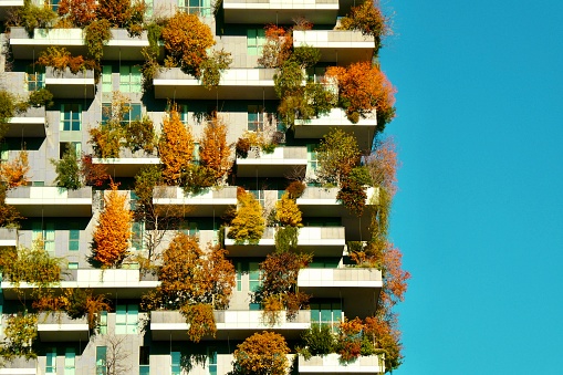 Skyscraper and trees during autumn