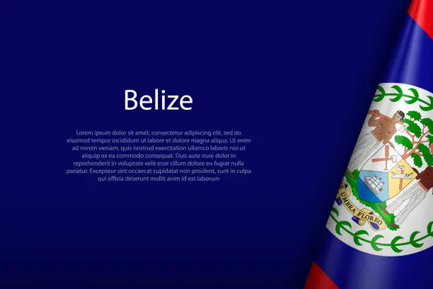 Vector illustration of Belize national flag isolated on background with copyspace