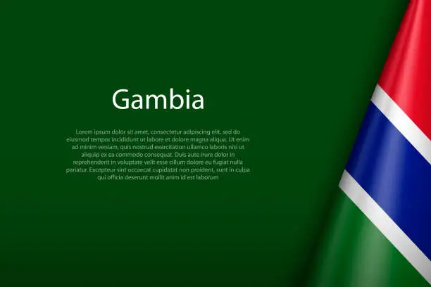 Vector illustration of Gambia national flag isolated on background with copyspace