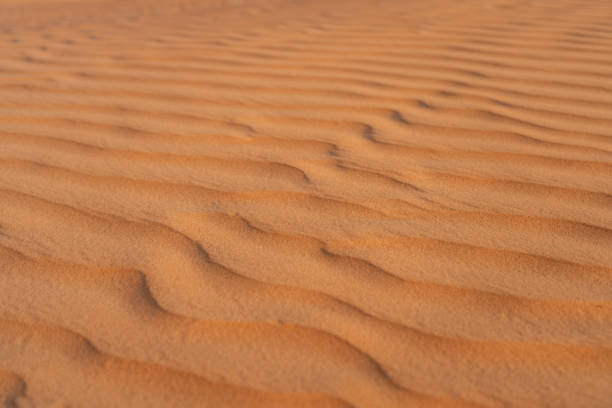 Wahiba rippled desert in Oman at sunset.