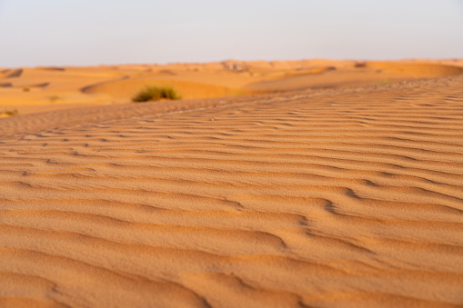 Wahiba rippled desert in Oman .