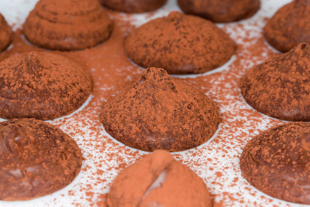Chocolate truffles round conical curved shape different sizes sprinkled with cocoa powder on the dish, side view close-up in selective focus