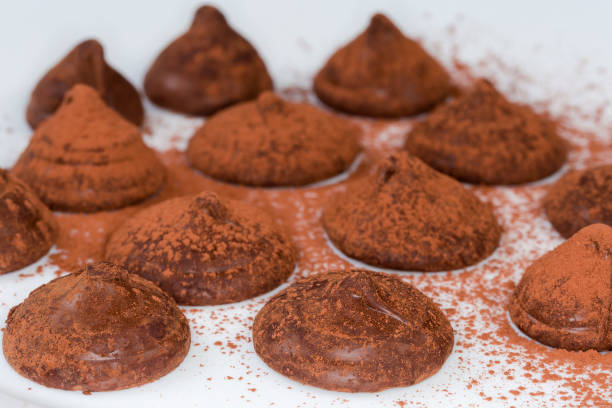istock Cocoa dusted chocolate truffles on dish, close-up, selective focus 2055109508