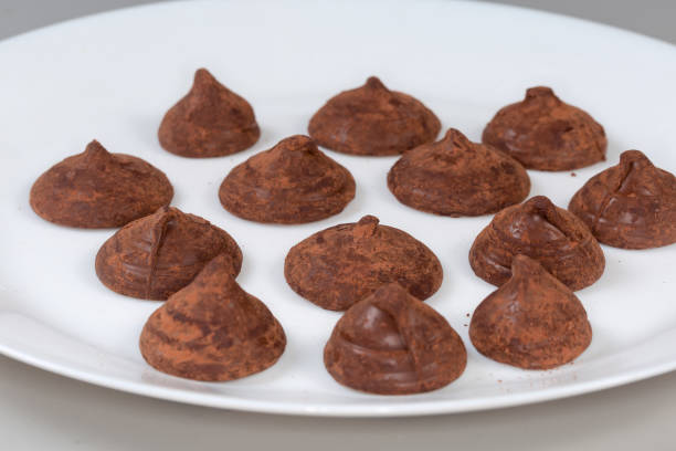 istock Cocoa dusted chocolate truffles on dish, side view close-up 2055111404