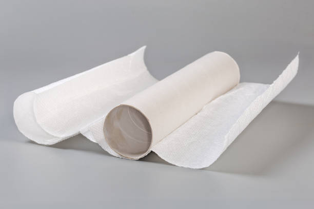 istock Leftover paper towels on cardboard tube on a gray surface 2055163802
