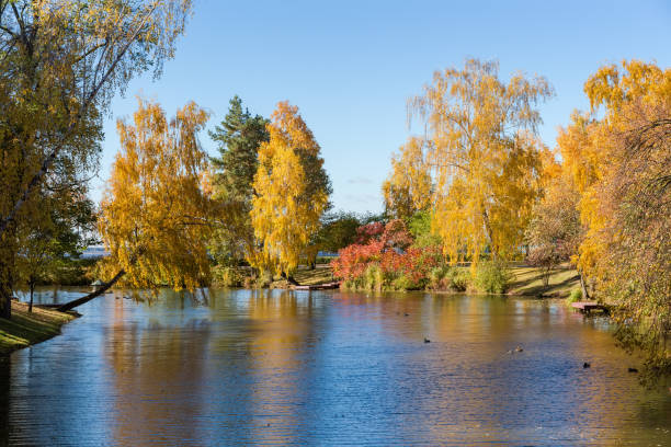 istock Scenic lake with different trees on banks in autumn park 2055248059