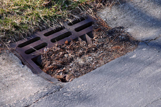 istock Roadside sewer drain blocked by debris 2055265658