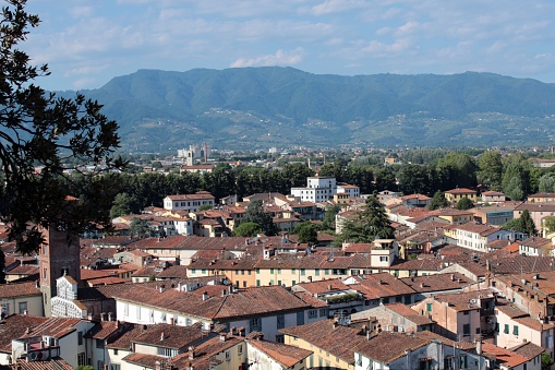 A piece of Lucca from Tower Guinigi, Tuscany