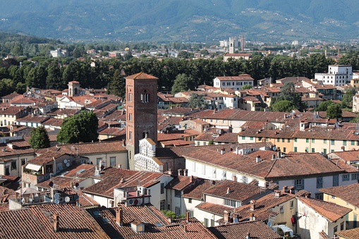 Townscape from the Guinigi Tower, Lucca