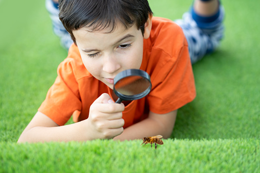 Boy looking through magnifying glass.Little boy exploring with magnifying glass.