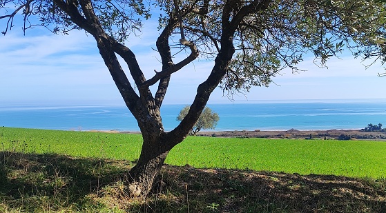 La visuale dalla collina della riserva del Borsacchio