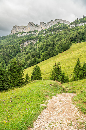 Hiking trail in the Appenzell mountains in Switzerland. Apine mountains in the background. Alpine trees on the slopes. Beautiful Alpine landschape in Switzerland. Cloudy summer day.