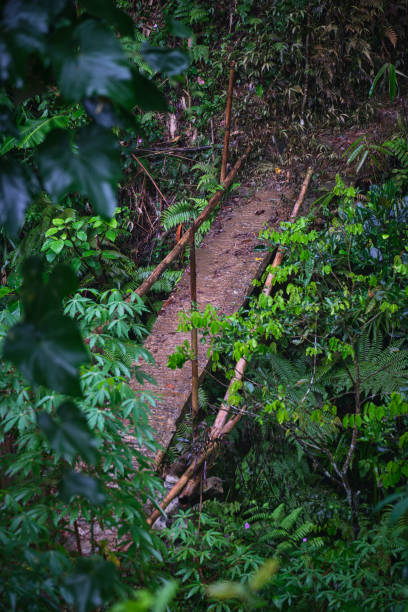 istock area of the footbridge connecting two hills 2055347861