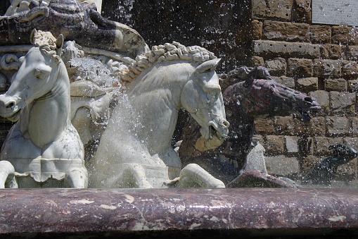 Three horses of Fountain Neptune, Florence, Tuscany