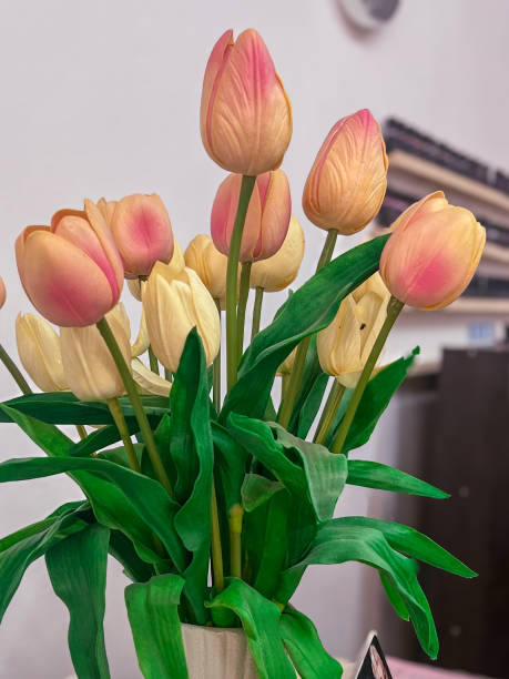 istock Artificial tulips in the vase 2055372141