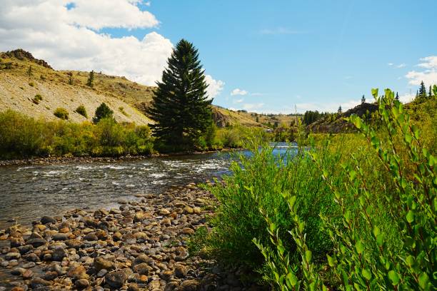 istock Arkansas River Headwaters going into Browns Canyon National Monument 2055373794
