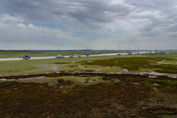 Across Mengham Salterns to small boats moored in Mengham Rithe on a dull, overcast summer day.