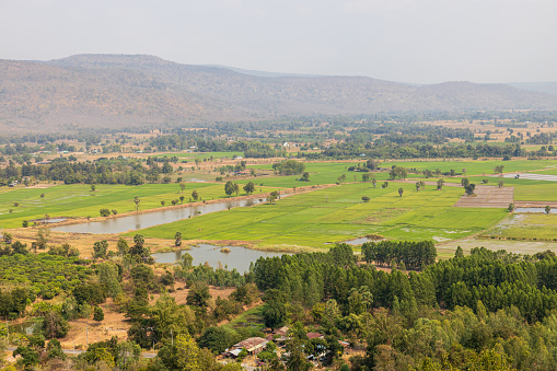 A bird's-eye view of farmland, green rice fields, wide expanses of agriculture amid gardens, forests, trees, and residences near a barren hill in the Thai countryside.