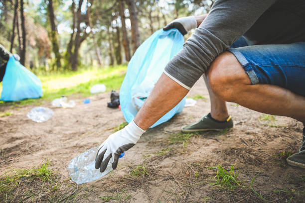 istock male volunteer collecting garbage in the forest 2055426195