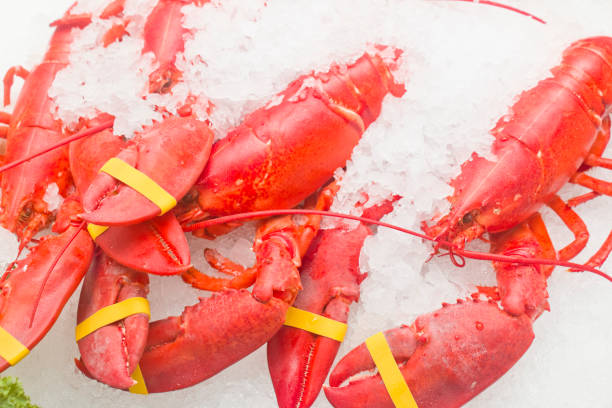 istock Row of fresh lobsters on ice 2055430905
