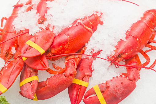 A row of fresh lobsters on ice on a retail display of a fish market in Florida, USA.