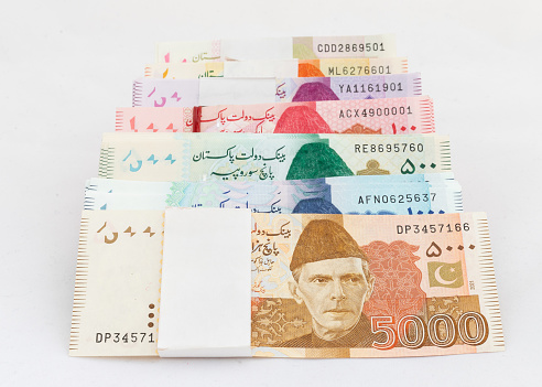 Pakistani currency notes of various denominations on white background