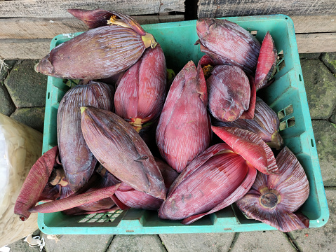 Banana blossom, also known as a “banana heart”, is a fleshy, purple-skinned flower, shaped like a tear, which grows at the end of a banana fruit cluste